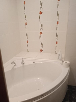 Beautiful flat in centre of Chișinău city